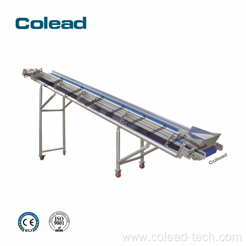 Belt Transport Conveyor for food processing line